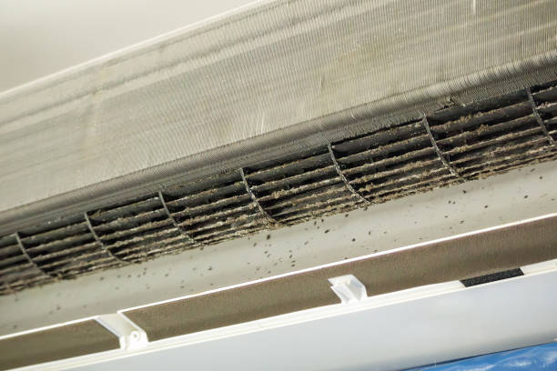 Best Best Air Duct Cleaning Company  in Iron Mountain, MI